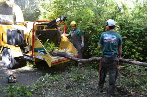 tree services Lemoore